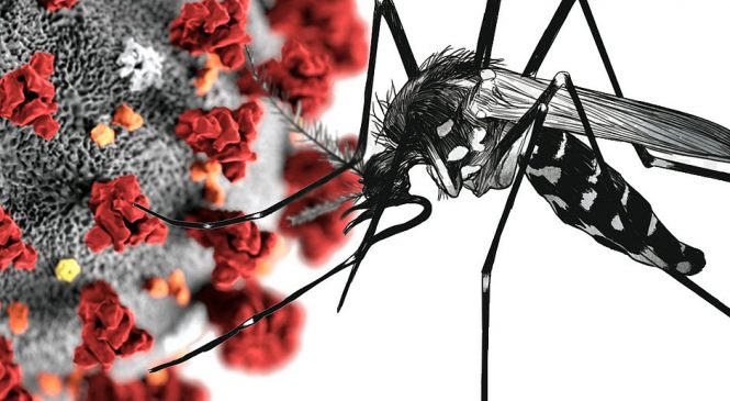 Em Maceió, Queiroga diz que surto de dengue está pior que de Covid-19