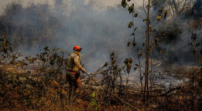 Brasil queimou área equivalente a Colômbia e Chile entre 1985 e 2022