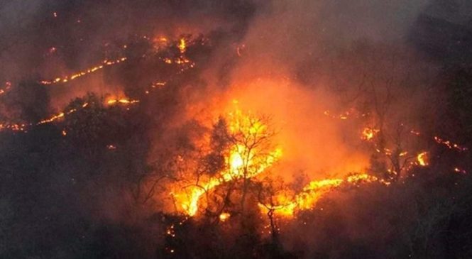 STF: União deve elaborar plano de prevenção e combate a incêndios no Pantanal e Amazônia
