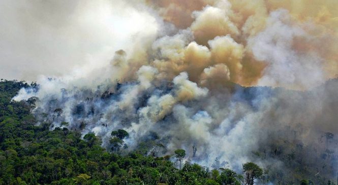 Emissões de carbono disparam com incêndios na Amazônia e Pantanal