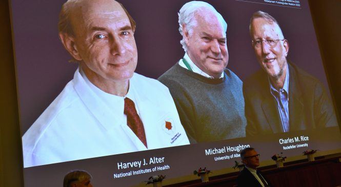 Nobel da Medicina vai para Cientistas que ajudaram a identificar vírus da Hepatite C