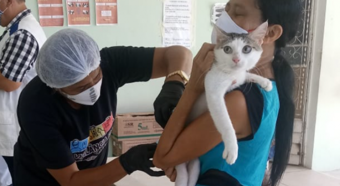 Segunda etapa da vacinação contra raiva imuniza cães e gatos no próximo sábado em Maceió