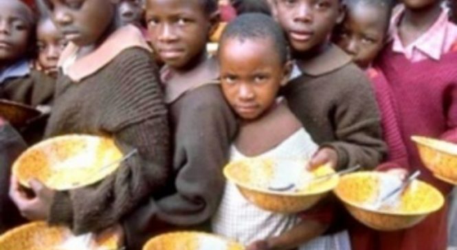 Programa de Alimentos da ONU ganha o Nobel da Paz