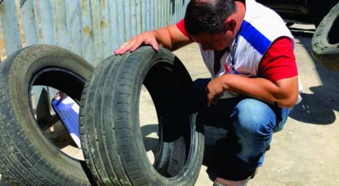 Ação contra Aedes aegypti vai coletar pneus em borracharias de Maceió