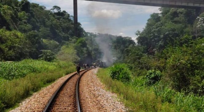 Ônibus com placa de Alagoas cai de viaduto em MG e 15 passageiros morrem