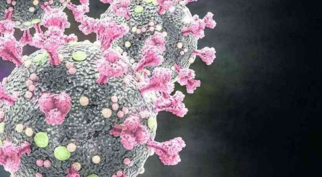 Cientistas americanos descobrem genes que impedem a ação do coronavírus
