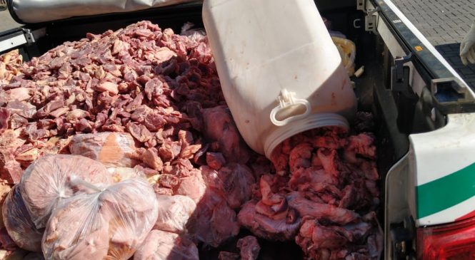 Vigilância Sanitária de Maceió apreende mais de 2 toneladas de alimentos estragados no fim de semana