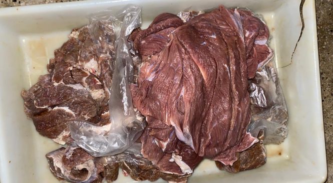 Vigilância sanitária apreende 400kg de carne e alimentos fora da validade em supermercado do Pilar
