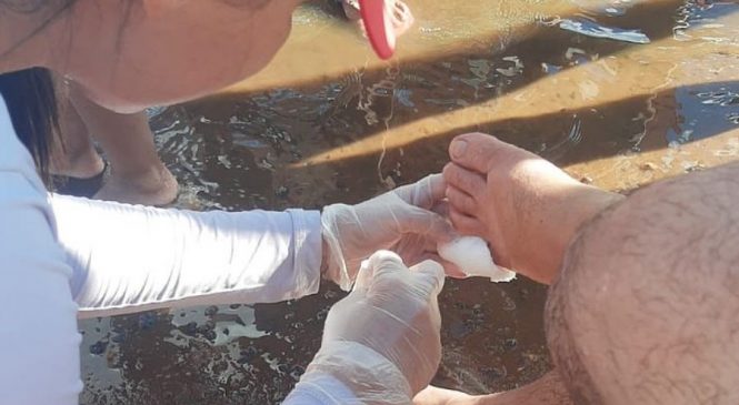 Bombeiros registram mais ataques de piranhas no Rio São Francisco em Pão de Açucar