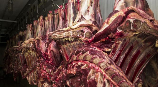 Por causa da vaca louca, China aceitará carne bovina do Brasil certificada até 4 de setembro