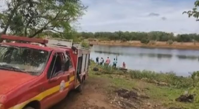 Homem foge de abelhas, cai em lago e é morto em ataque de piranhas em MG