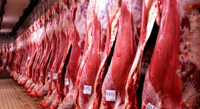 CNA prevê prejuízo de R$ 2 bi com embargo da carne brasileira na China