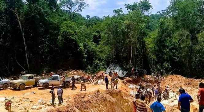 Governo Bolsonaro libera garimpo na Amazônia para piloto de Fernandinho Beira-Mar