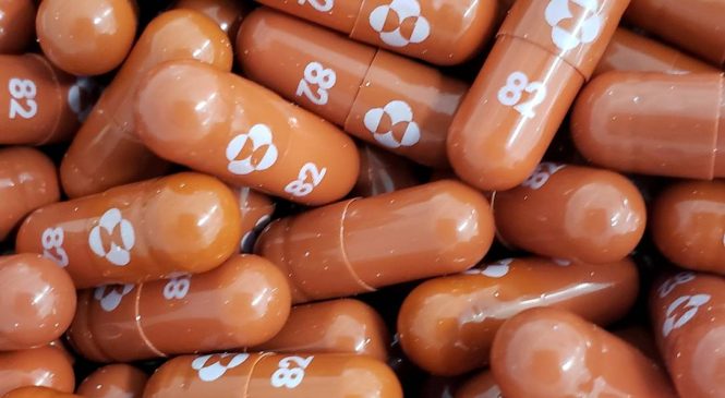 Reino Unido aprova pílula antiviral molnupiravir para tratamento da covid-19