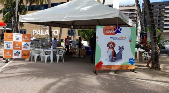 Gabinete da Causa Animal de Maceió leva 17 animais para feira de adoção no domingo