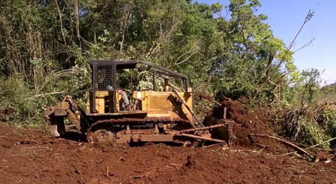 BNDES está financiando milhões para fazendeiros desmatarem Amazônia