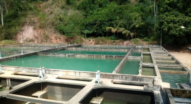 Manutenção da Casal compromete distribuição de água na parte alta de Maceió