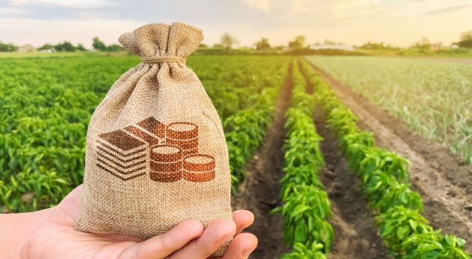 Agronegócio pede ao governo R$ 3 bilhões créditos subsidiados