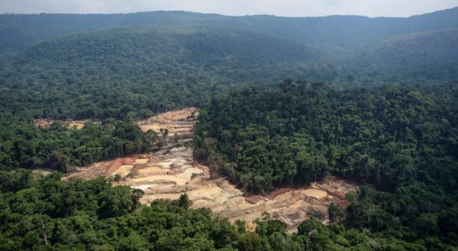 Empresa gigante da Italia faturou R$ 18 bilhões com ouro ilegal de terra indígena na Amazônia