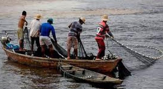 Alagoas beneficia mais de 700 pescadores com isenção de ICMS no óleo diesel para embarcações