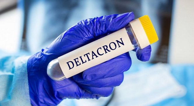 Pandemia ainda não acabou: OMS confirma existência da variante Deltacron