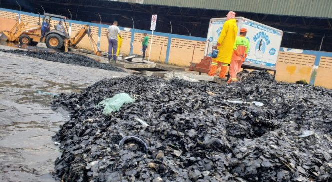 Mutirão de limpeza retira 25 toneladas de lixo do Mercado da Produção