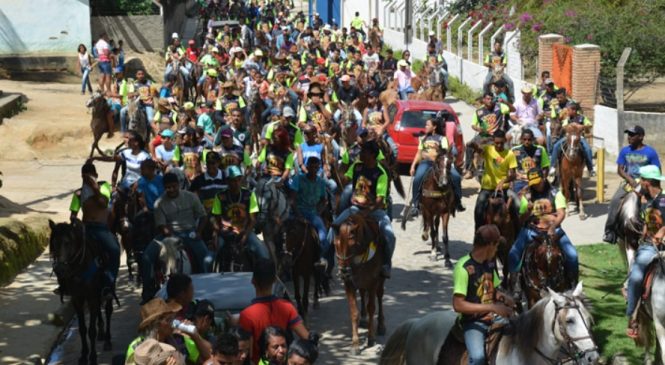 Marechal Deodoro proíbe eventos com cavalos após suspeita de surto de raiva