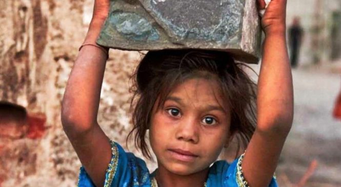 Governo Bolsonaro cortou 95% dos recursos para combate ao trabalho infantil