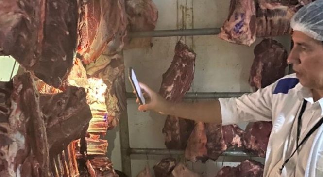 Vigilância Sanitária apreende 960 kg de alimentos impróprios neste fim de semana em Maceió