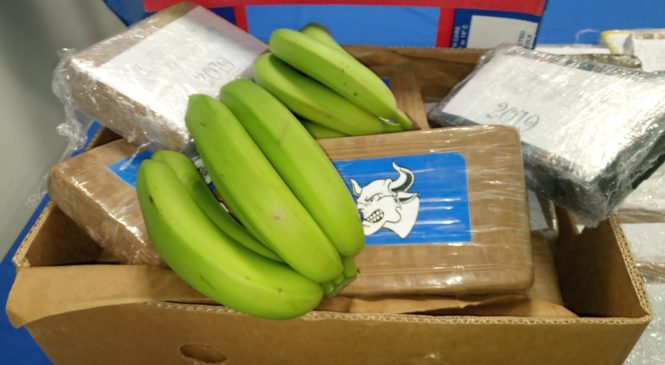 Traficantes entregam carga de cocaína de R$ 427 milhões em supermercado