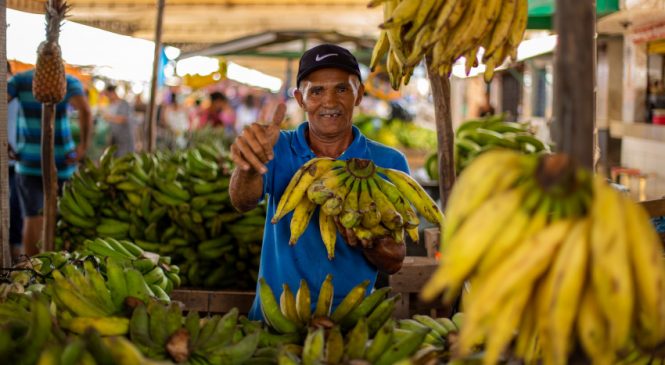 Confira o horário de funcionamento dos mercados e feiras no domingo (30)