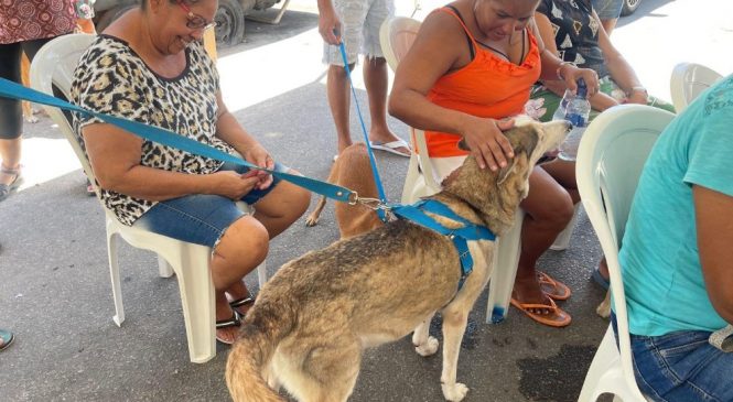 Castramóvel realiza triagem de 264 animais dos moradores do Vergel do Lago