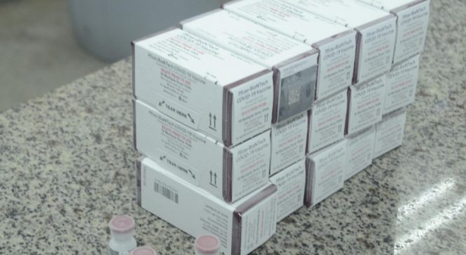 Sesau inicia distribuição da vacina Pfizer Baby contra Covid-19