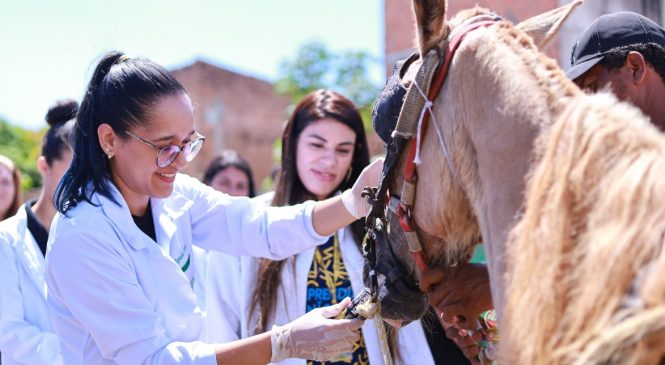 Prefeitura de Maceió beneficia carroceiros com ações socioambientais e de saúde animal