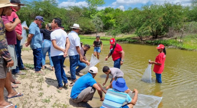 Governo promove o fortalecimento da agricultura familiar com distribuição de 1,7 milhão alevinos