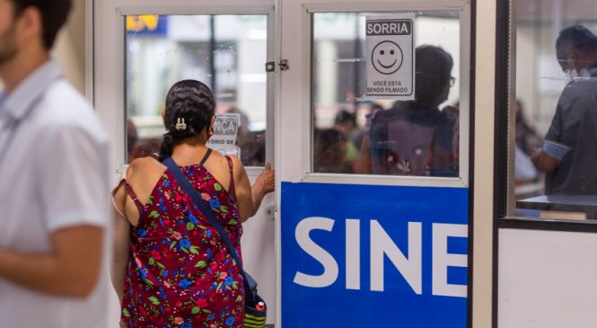 Empresa de gestão abre processo seletivo com 107 vagas pelo Sine Maceió