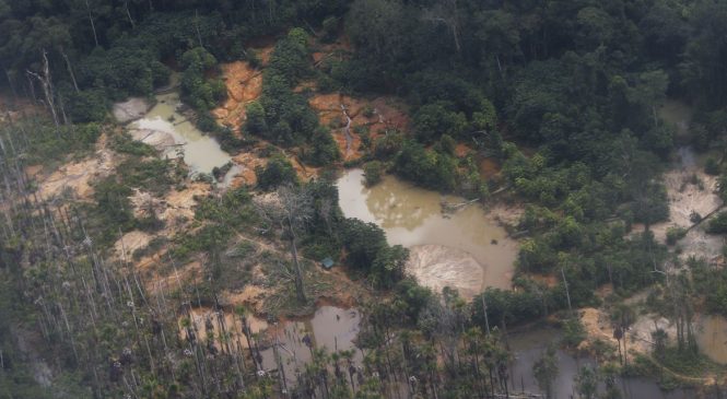 Yanomami pedem água potável e dizem que garimpo ilegal contamina rios