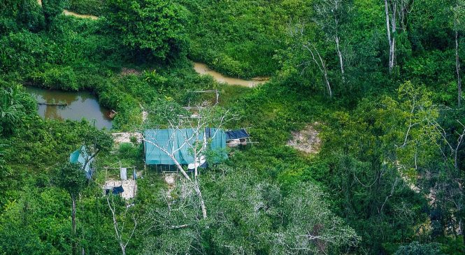 Garimpo ameaça indígenas isolados em área Yanomami