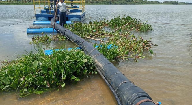 Abastecimento de Piaçabuçu sofre interrupções devido a plantas aquáticas no rio