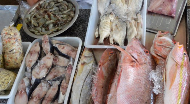 Páscoa está chegando e Vigilância Sanitária Estadual orienta sobre compra do pescado