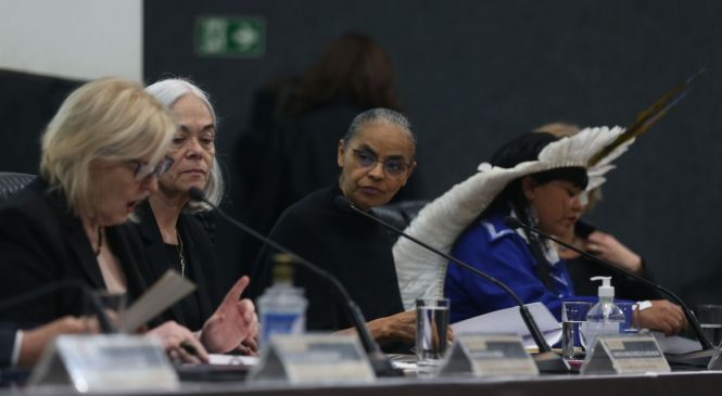 Marina Silva denuncia desmonte na fiscalização ambiental