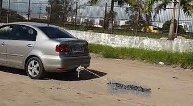 Suspeito de arrastar cachorro com corda em carro presta depoimento hoje