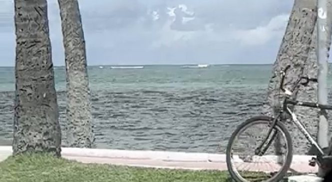 IMA tenta identificar causa de mancha escura na Praia de Ponta Verde