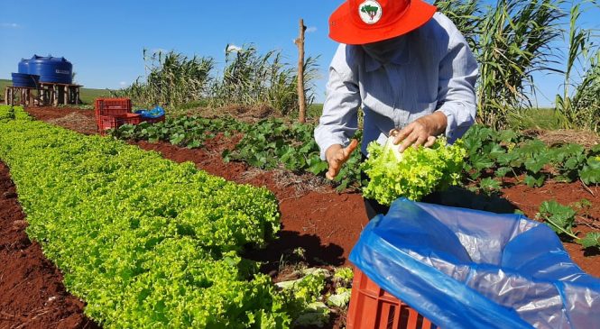 Governo federal vai anunciar este mês um programa de Reforma Agrária