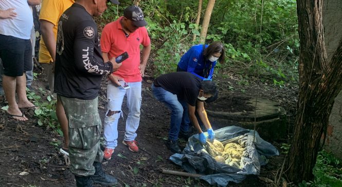 IML de Maceió: Ossada humana encontrada no bairro do Feitosa é de técnica de enfermagem