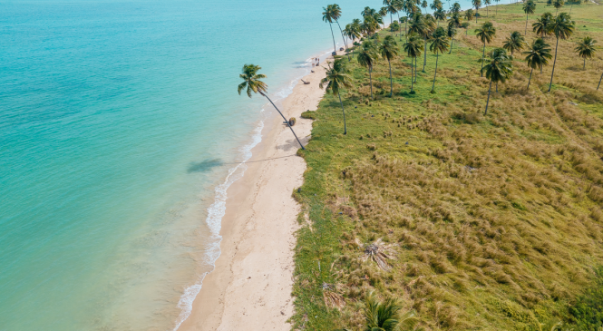 Praia do Patacho recebe renovação do título internacional de sustentabilidade