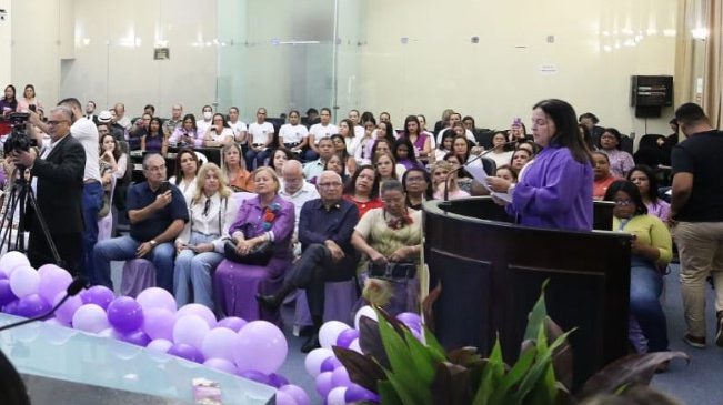 Agosto Lilás e Lei Maria da Penha são debatidos em sessão especial