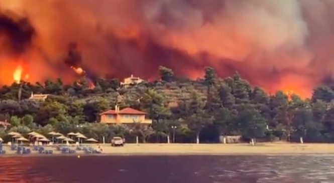 Incêndio florestal na Grécia é o “maior em solo europeu em anos”