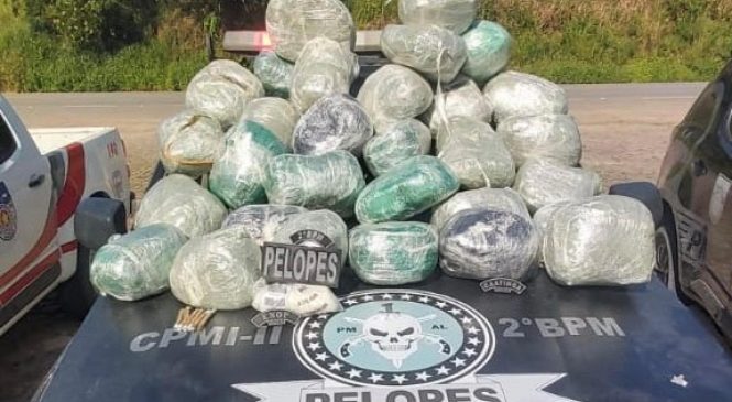 Polícia Militar apreende mais de 32kg de drogas em São José da Laje