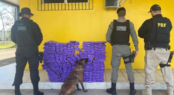 Polícia Militar apreende mais de 190 quilos de maconha em São Sebastião